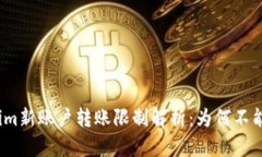 Tokenim新账户转账限制解析：为何不能转钱？