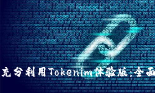 如何充分利用Tokenim体验版：全面指南