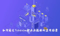 如何通过Tokenim扩大大数据的应用场景