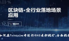 如何在Tokenim中进行GNS质押挖矿：全面指南