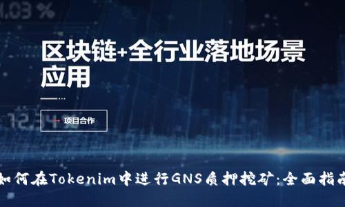 如何在Tokenim中进行GNS质押挖矿：全面指南
