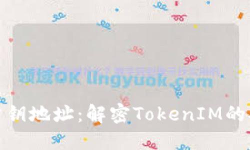 私钥与公钥地址：解密TokenIM的安全之道