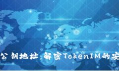 私钥与公钥地址：解密TokenIM的安全之道