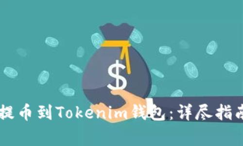 如何将OK链提币到Tokenim钱包：详尽指南与注意事项