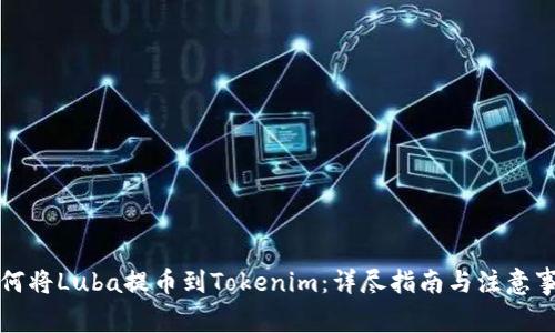 如何将Luba提币到Tokenim：详尽指南与注意事项