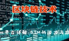 Tokenim平台详解：BTM的潜力与应用前景