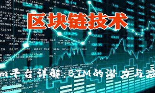 Tokenim平台详解：BTM的潜力与应用前景