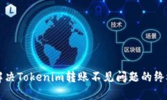 如何解决Tokenim转账不见问题的终极指南