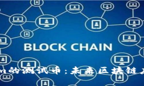 了解Tokenim的测试币：未来区块链应用的试金石