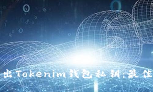 如何安全导出Tokenim钱包私钥：最佳实践与技巧