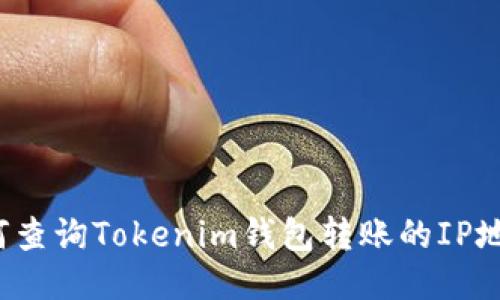 如何查询Tokenim钱包转账的IP地址？