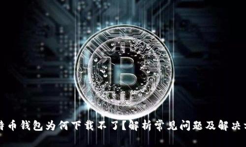 比特币钱包为何下载不了？解析常见问题及解决方案