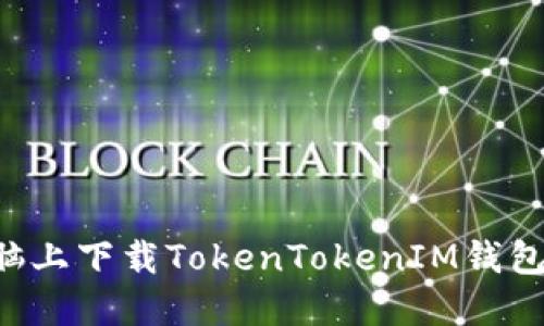 如何在电脑上下载TokenTokenIM钱包：详细指南