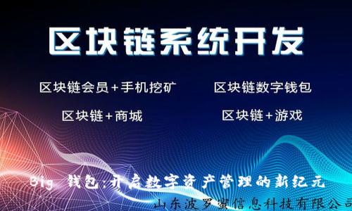 Big 钱包：开启数字资产管理的新纪元