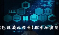 为什么你的钱包没有比特币？探索加密货币投资
