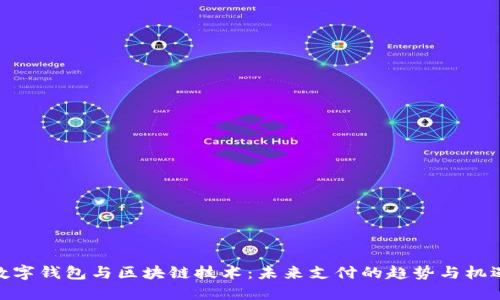 数字钱包与区块链技术：未来支付的趋势与机遇