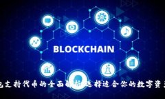 以太坊钱包支持代币的全面解析：选择适合你的