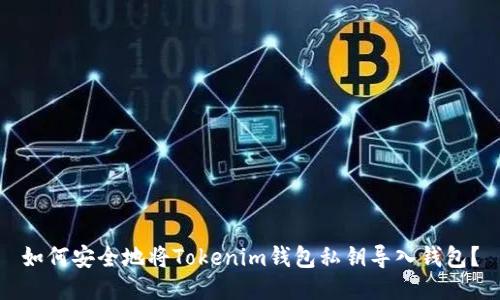如何安全地将Tokenim钱包私钥导入钱包？