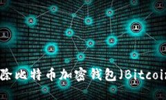 如何安全解除比特币加密钱包（Bitcoin Wallet）？