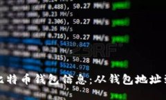如何读取比特币钱包信息：从钱包地址到余额查