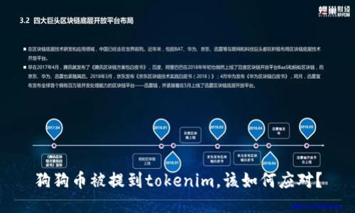 狗狗币被提到tokenim，该如何应对？