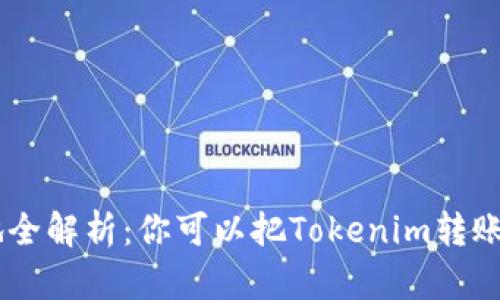 Tokenim转账目的地全解析：你可以把Tokenim转账到哪些平台和钱包？