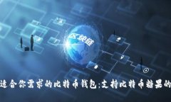 如何选择适合你需求的比特币钱包：支持比特币