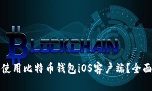 如何选择和使用比特币钱包iOS客户端？全面指南与推荐