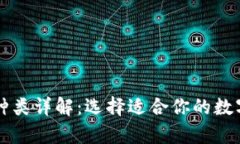 区块链钱包的种类详解：选择适合你的数字资产