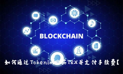 如何通过Tokenim购买TRX并支付手续费？