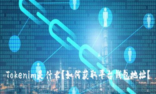 Tokenim是什么？如何获取平台钱包地址？