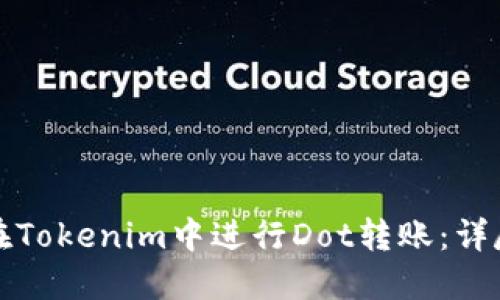 如何在Tokenim中进行Dot转账：详尽指南