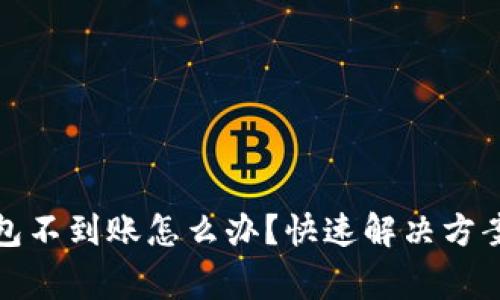 币转Tokenim钱包不到账怎么办？快速解决方案与常见问题解析