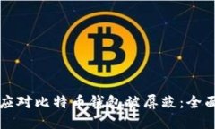 如何应对比特币钱包被屏蔽：全面指南