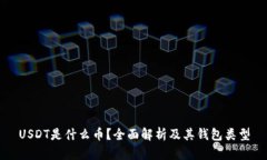 USDT是什么币？全面解析及其钱包类型