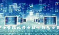 如何安全管理比特币核心钱包交易密码？