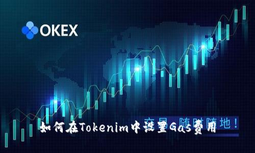 如何在Tokenim中设置Gas费用