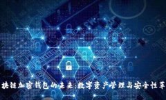 区块链加密钱包的未来：数字资产管理与安全性