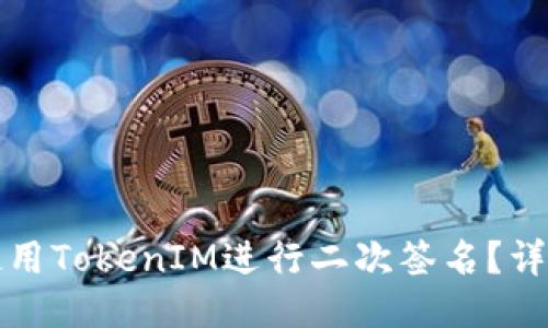 如何使用TokenIM进行二次签名？详细指南