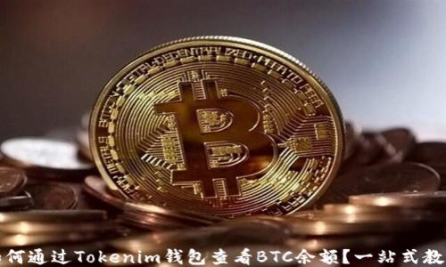 
如何通过Tokenim钱包查看BTC余额？一站式教程