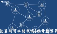 区块链钱包真的可以转钱吗？揭开数字钱包的秘