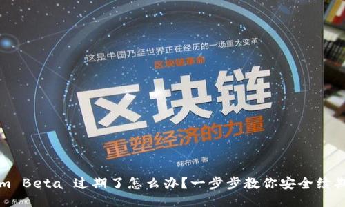 Tokenim Beta 过期了怎么办？一步步教你安全续期与使用