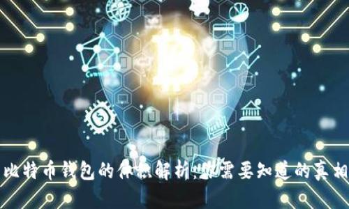 比特币钱包的体积解析：你需要知道的真相